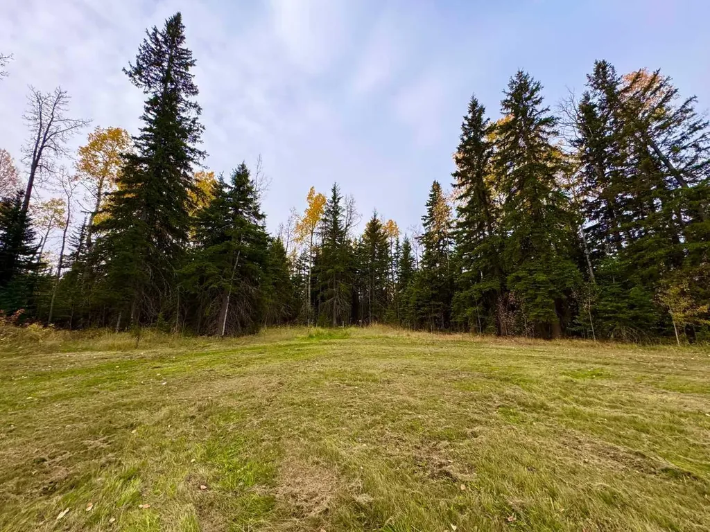 111 Meadow Ponds Drive Rural Clearwater County AB T4T 1A7