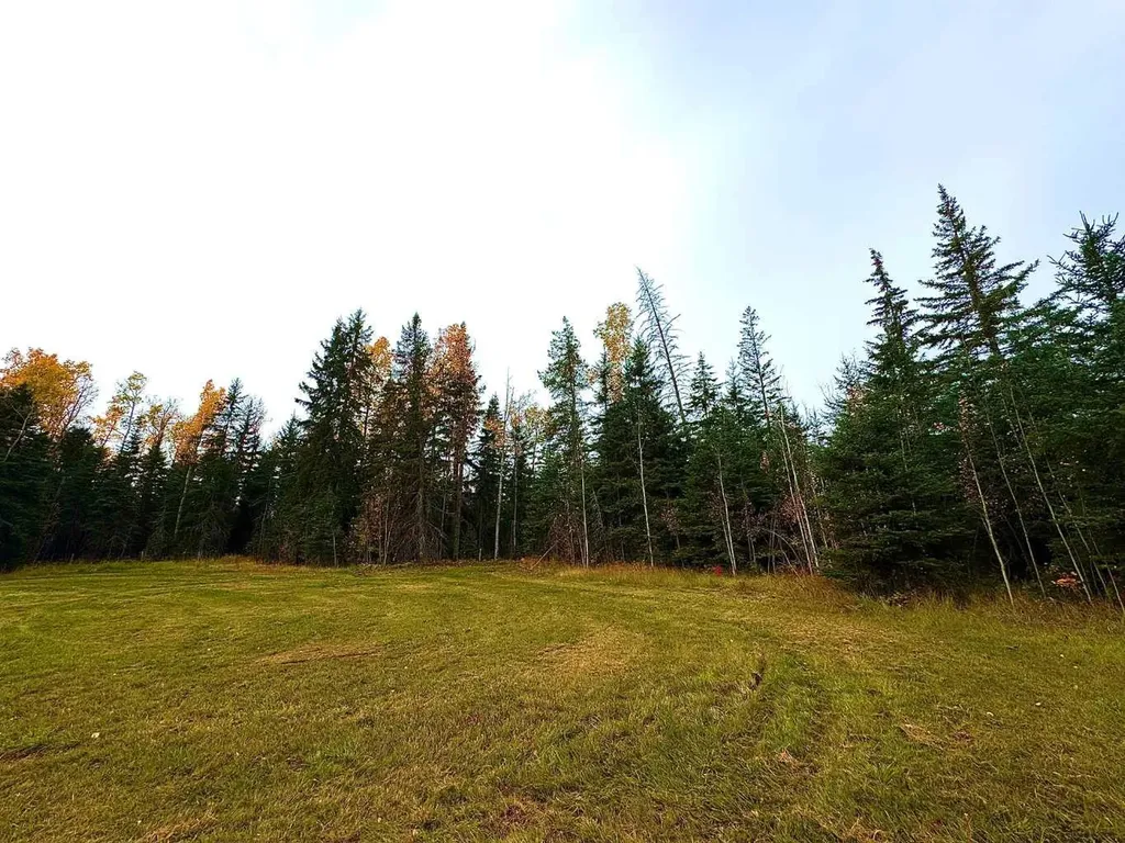 111 Meadow Ponds Drive Rural Clearwater County AB T4T 1A7