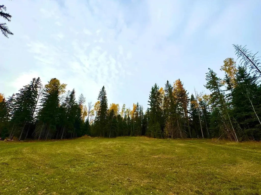 111 Meadow Ponds Drive Rural Clearwater County AB T4T 1A7