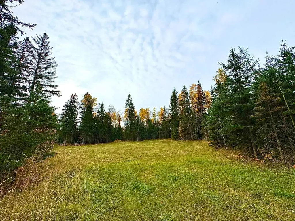 111 Meadow Ponds Drive Rural Clearwater County AB T4T 1A7