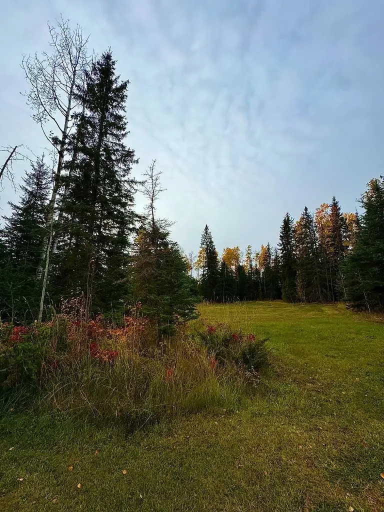 111 Meadow Ponds Drive Rural Clearwater County AB T4T 1A7