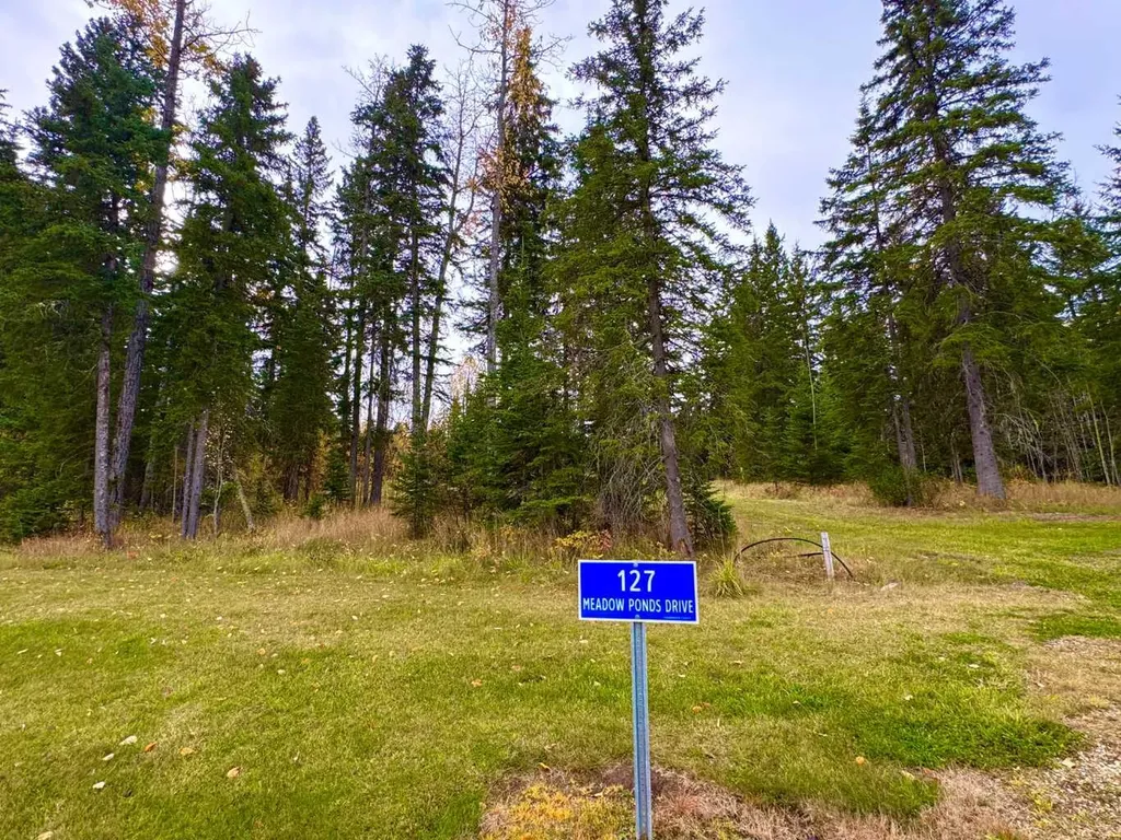 127 Meadow Ponds Drive Rural Clearwater County AB T4T 1A7