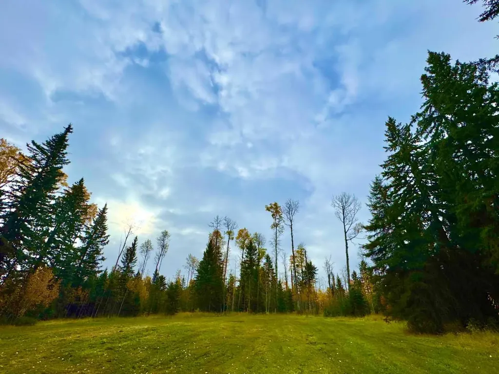 127 Meadow Ponds Drive Rural Clearwater County AB T4T 1A7