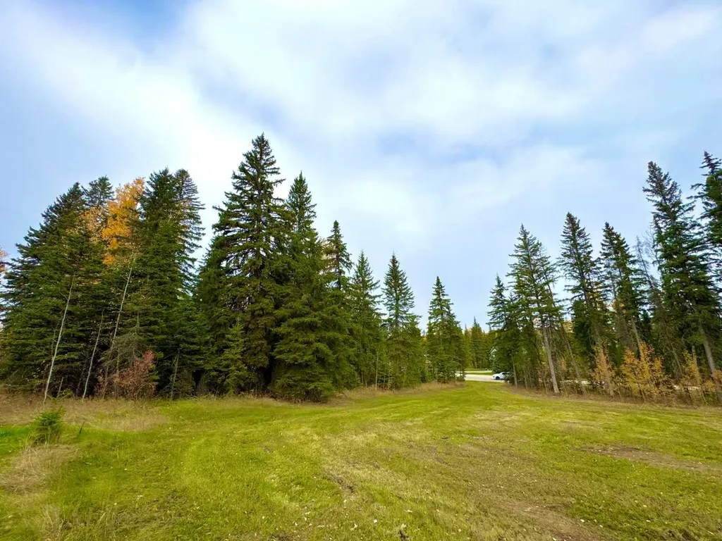 127 Meadow Ponds Drive Rural Clearwater County AB T4T 1A7