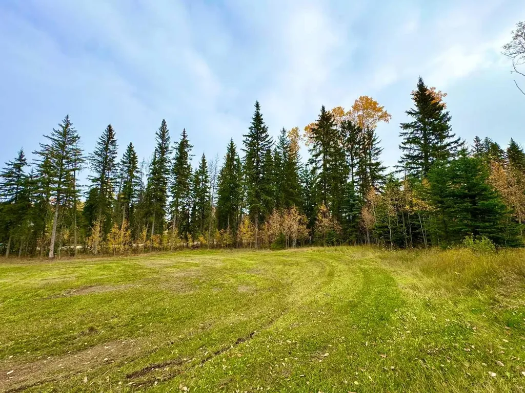 127 Meadow Ponds Drive Rural Clearwater County AB T4T 1A7
