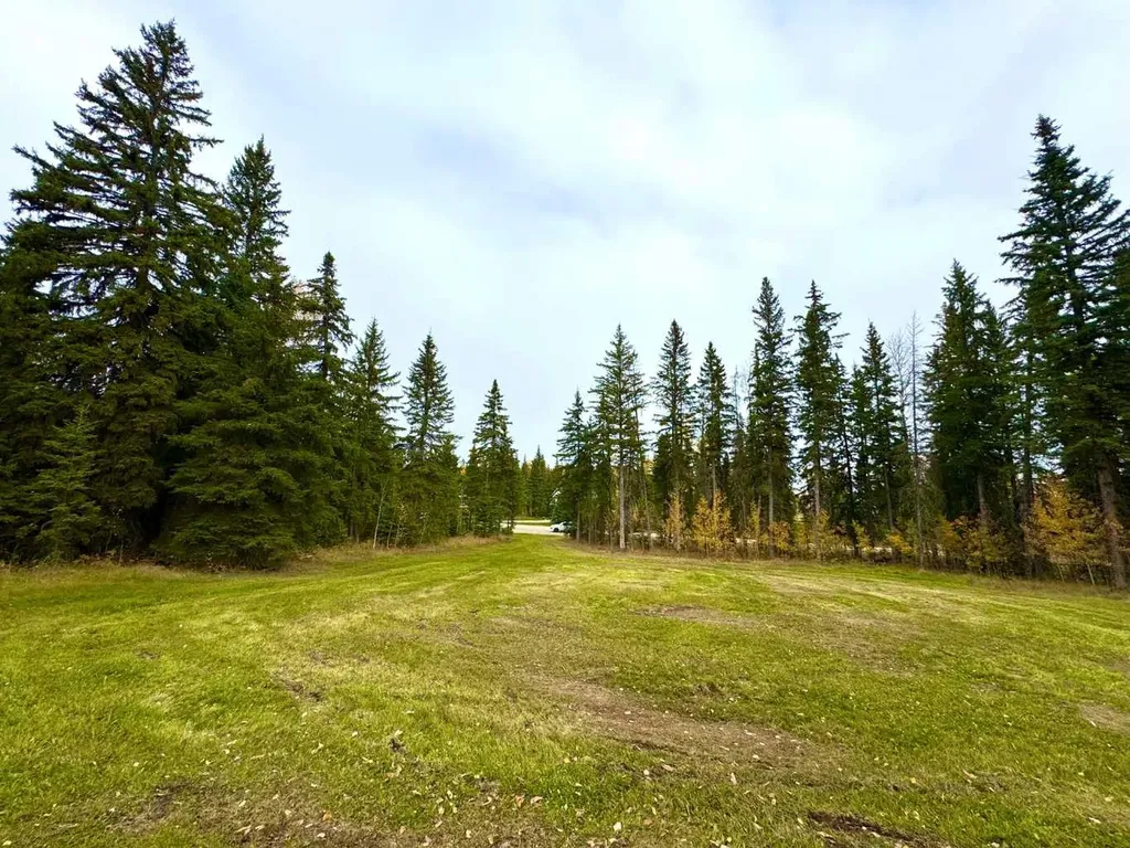 127 Meadow Ponds Drive Rural Clearwater County AB T4T 1A7