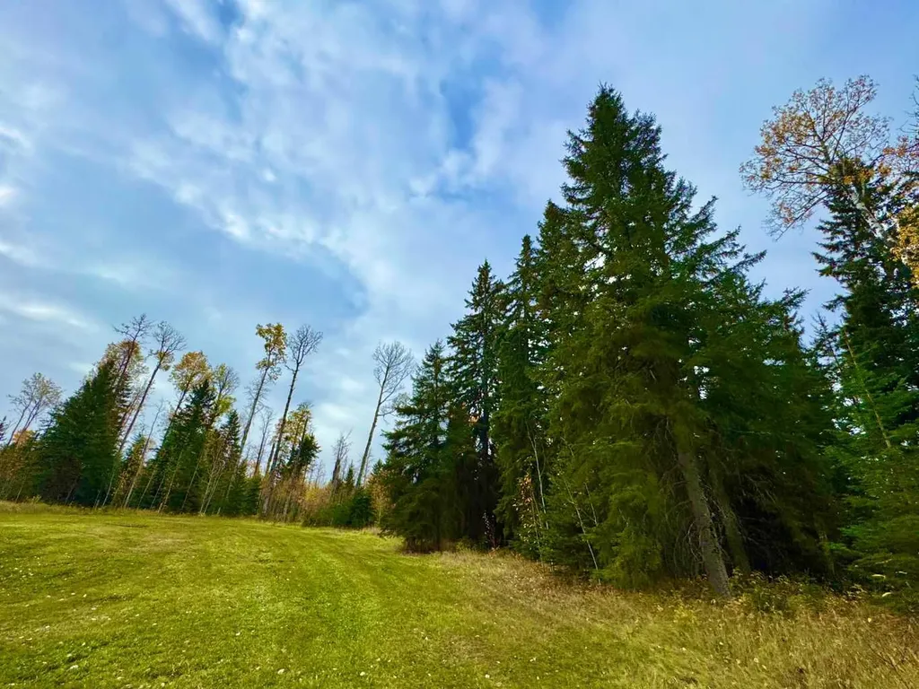 127 Meadow Ponds Drive Rural Clearwater County AB T4T 1A7
