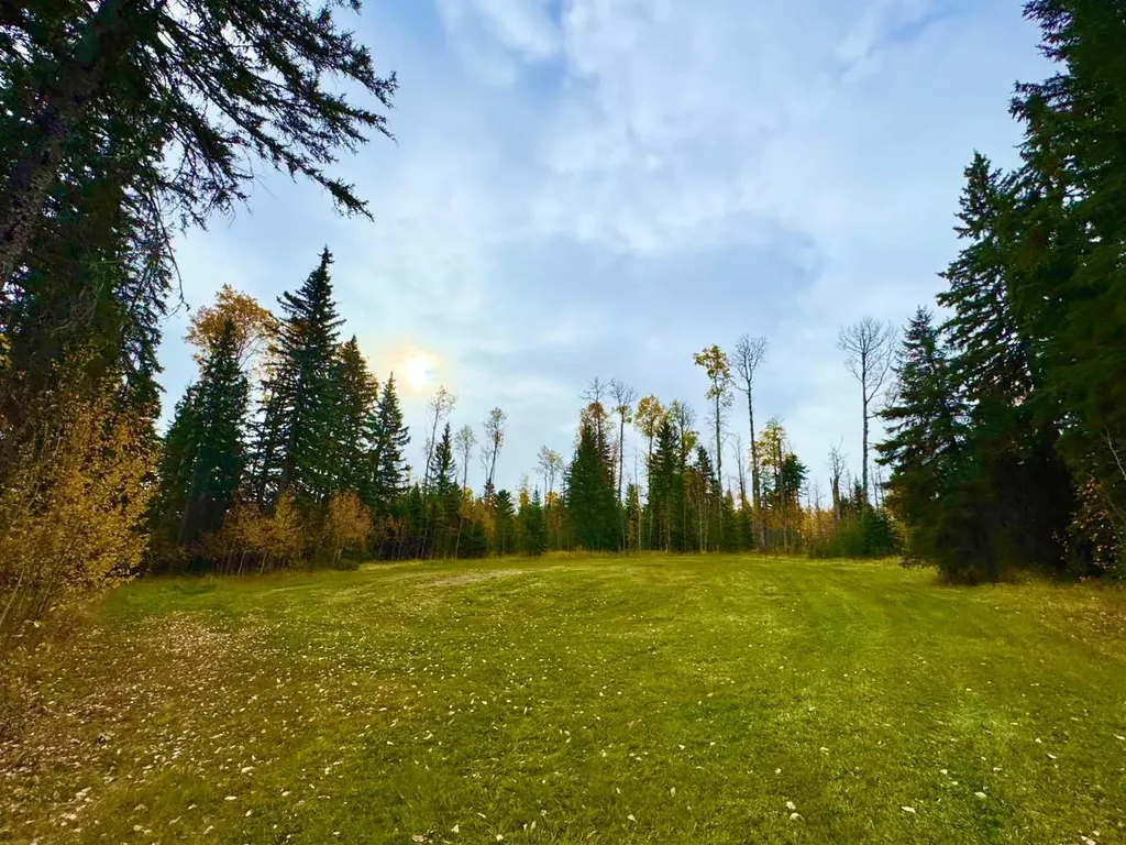127 Meadow Ponds Drive Rural Clearwater County AB T4T 1A7