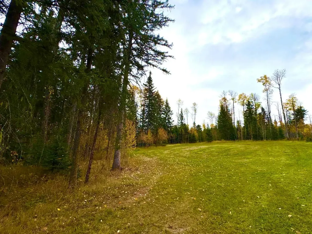 127 Meadow Ponds Drive Rural Clearwater County AB T4T 1A7