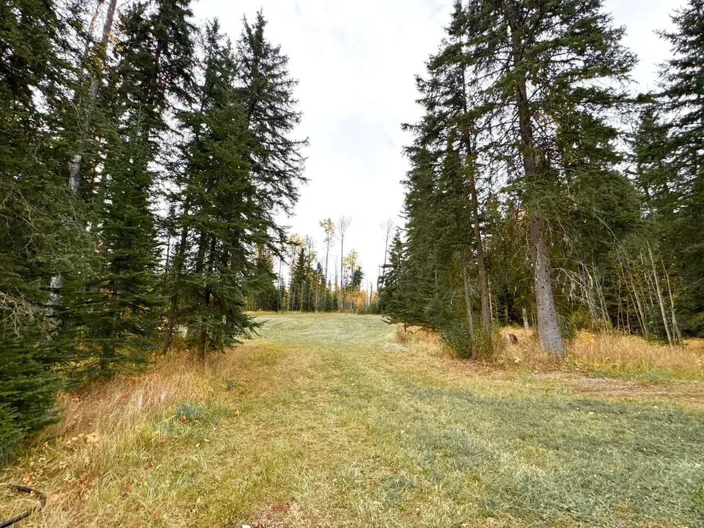 127 Meadow Ponds Drive Rural Clearwater County AB T4T 1A7