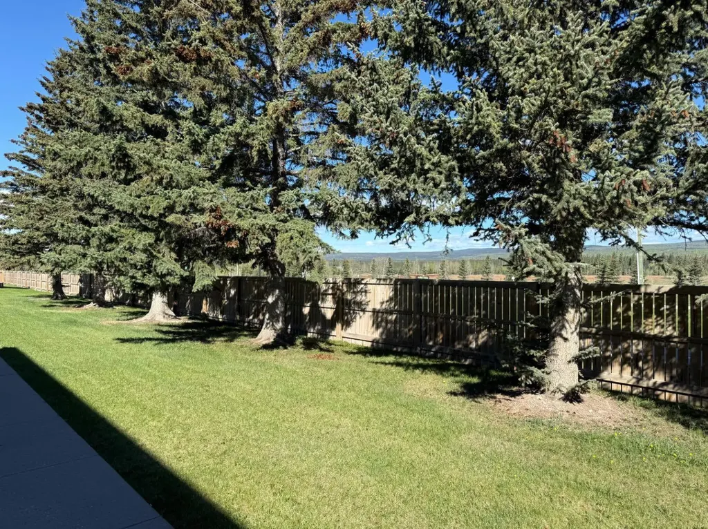 441 Switzer Drive Hinton AB T7V 1Z7