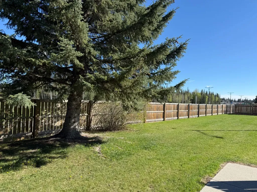 441 Switzer Drive Hinton AB T7V 1Z7