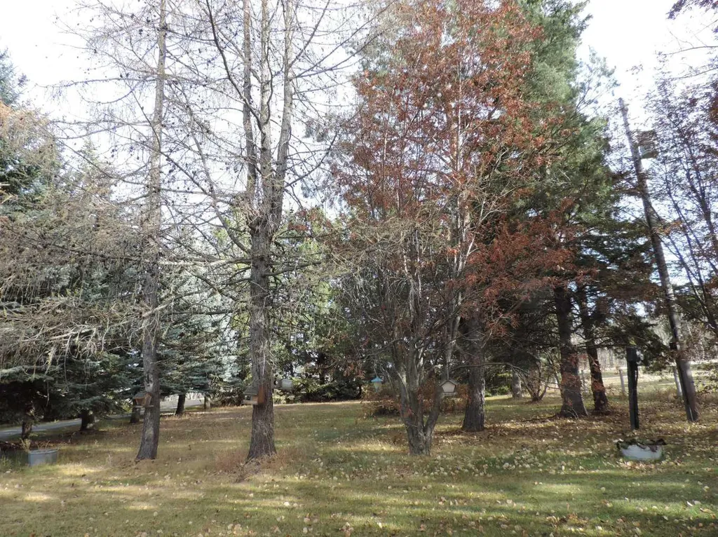 RR30 Rural Ponoka County AB T0C 2J0