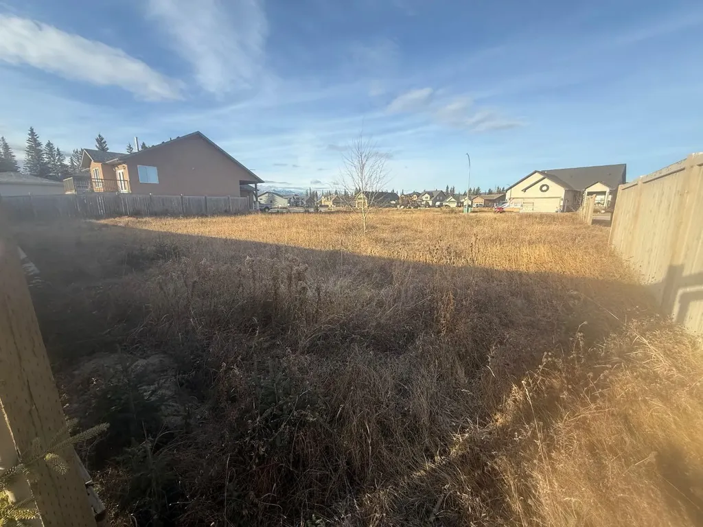 208 Trestle Place Hinton AB T7V0B8