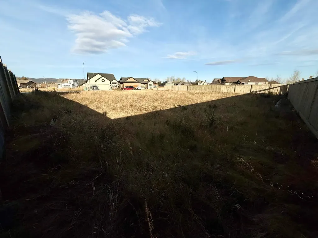 208 Trestle Place Hinton AB T7V0B8