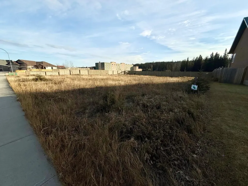 208 Trestle Place Hinton AB T7V0B8