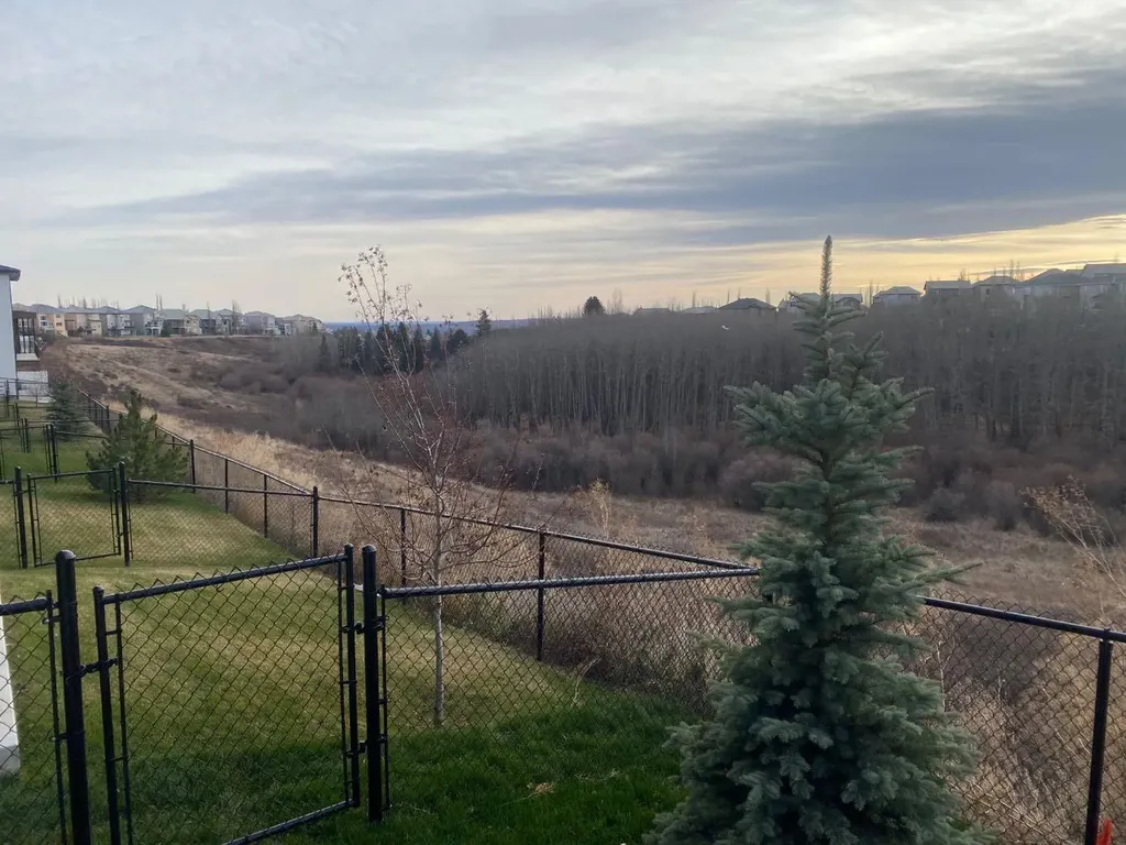 31 Royal Birch Cove NW Calgary AB T3G 5P9