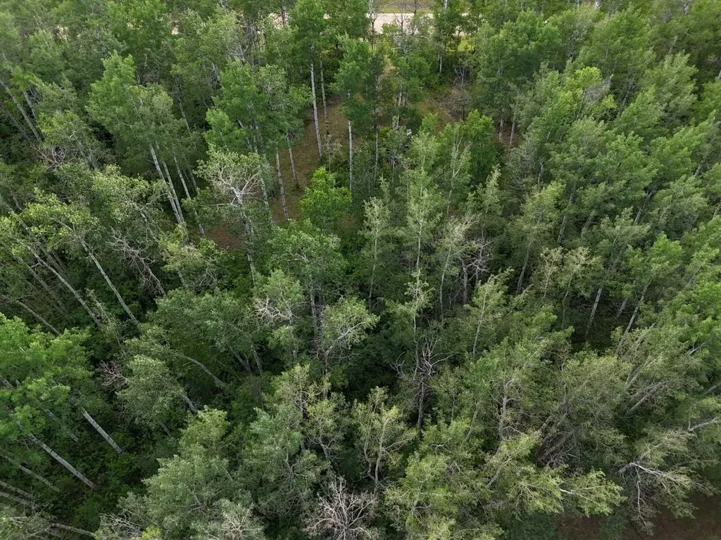 NW 19-48- 2-w5 Warburg AB T0C 2T0