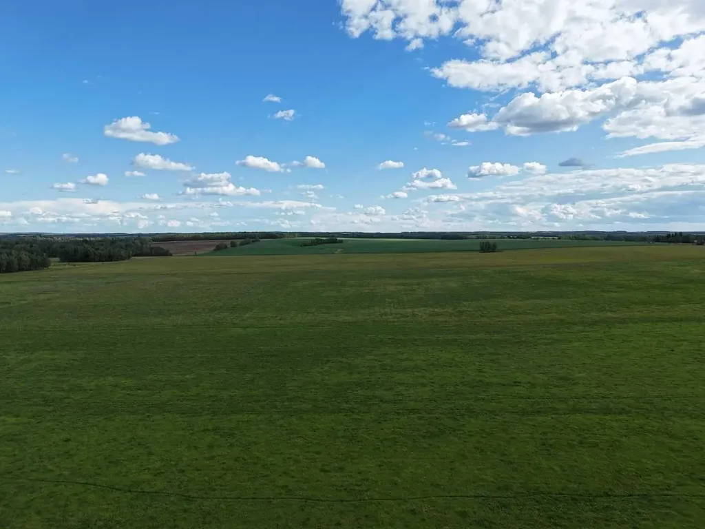 NW 19-48- 2-w5 Warburg AB T0C 2T0