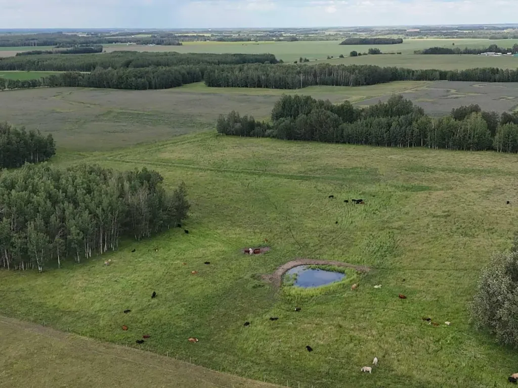 NW 19-48- 2-w5 Warburg AB T0C 2T0