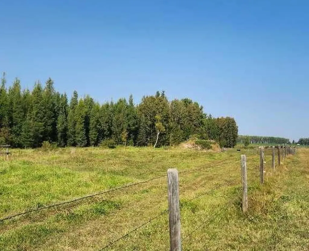 Range Road 6.2 Rural Clearwater County AB T0M 0C0