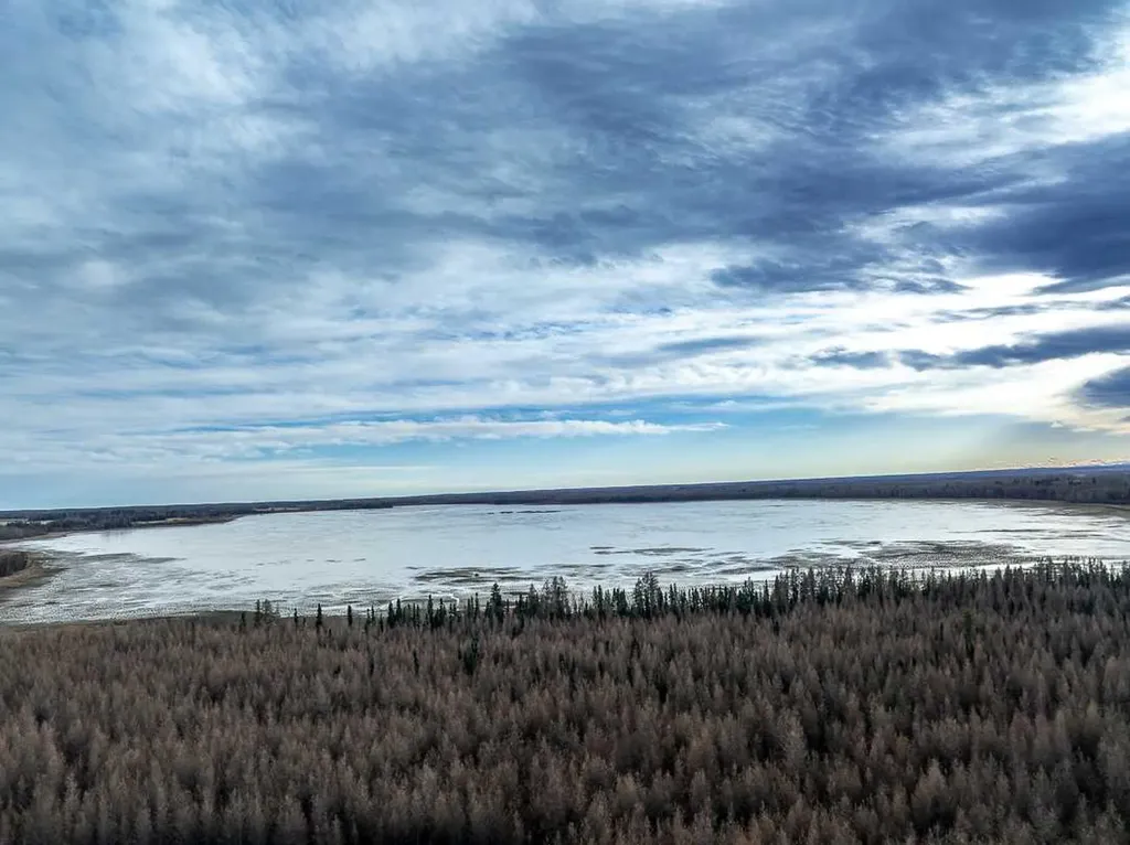 Range Road 6.2 Rural Clearwater County AB T0M 0C0