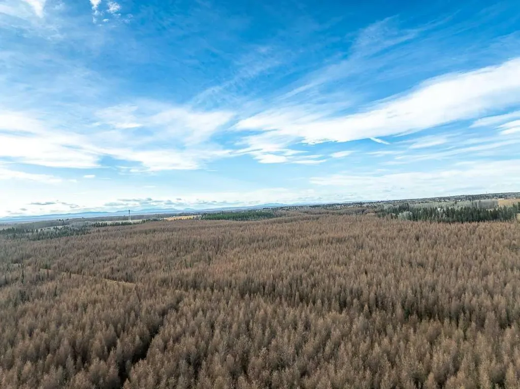 Range Road 6.2 Rural Clearwater County AB T0M 0C0