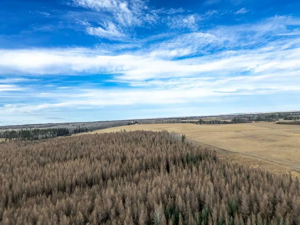 Range Road 6.2 Rural Clearwater County AB T0M 0C0