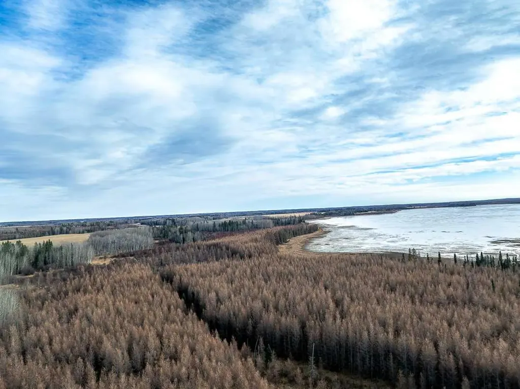 Range Road 6.2 Rural Clearwater County AB T0M 0C0