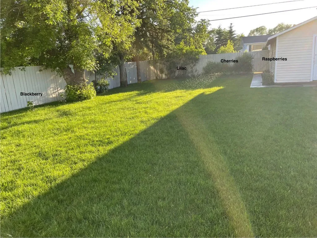 5017 49a Street Sedgewick AB T0B 4C0