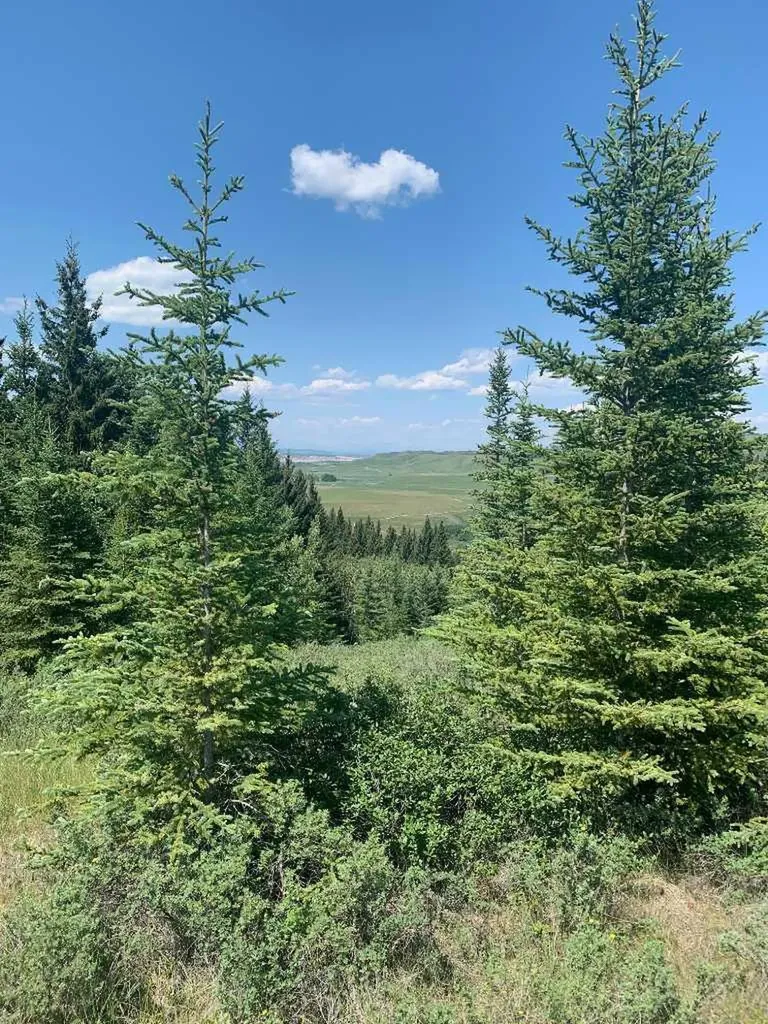 75.50 Acres North Springbank 5;3;25;28;se Rural Rocky View County AB T3Z 3M2