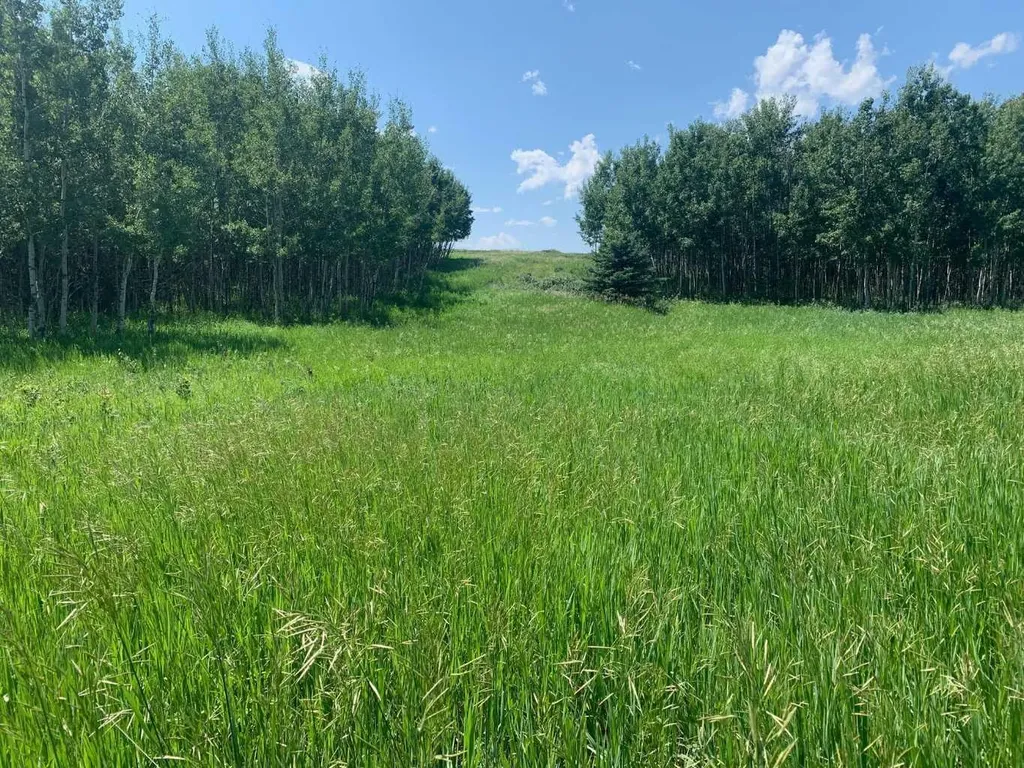 75.50 Acres North Springbank 5;3;25;28;se Rural Rocky View County AB T3Z 3M2