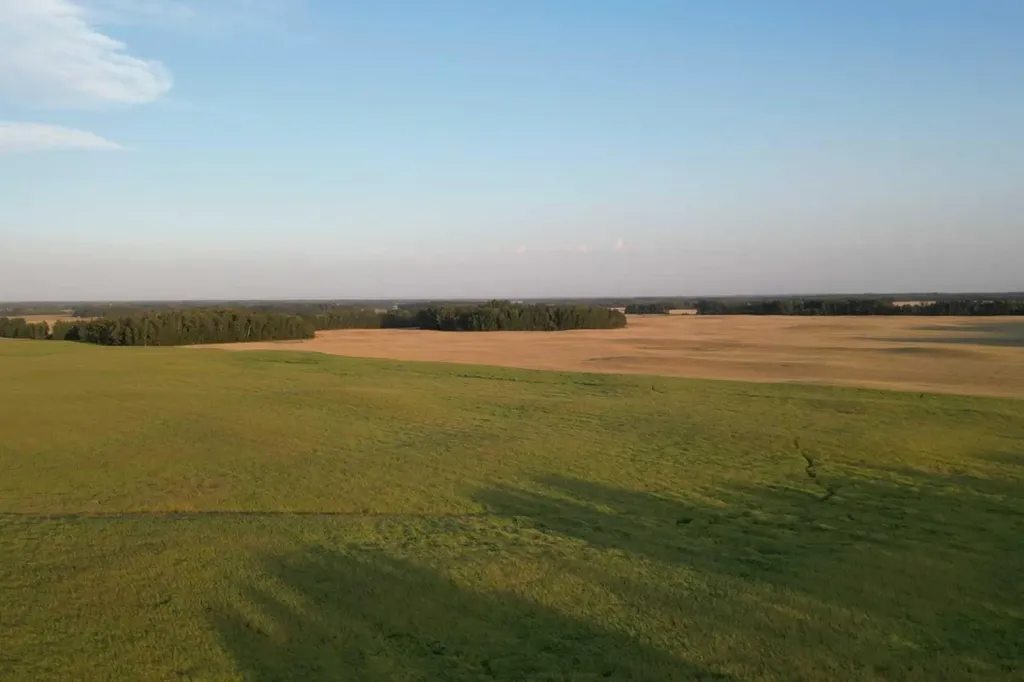 Range Road 224 Township 610 Rural Thorhild County AB T0A 3J0