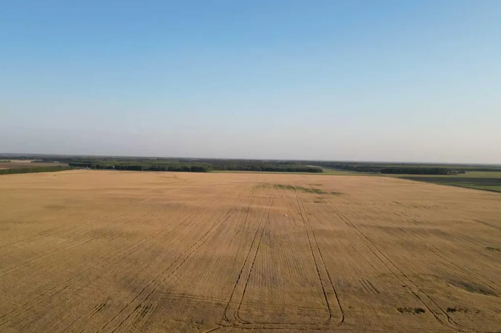 Range Road 224 Township 604 Rural Thorhild County AB T0A 3J0