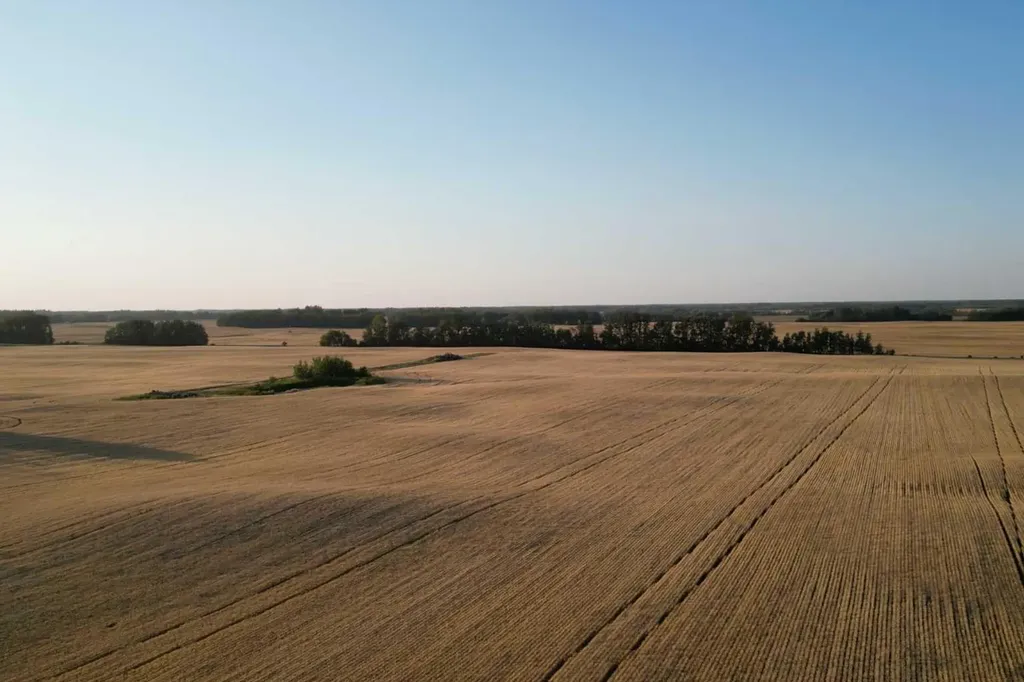 Range Road 224 Township 604 Rural Thorhild County AB T0A 3J0