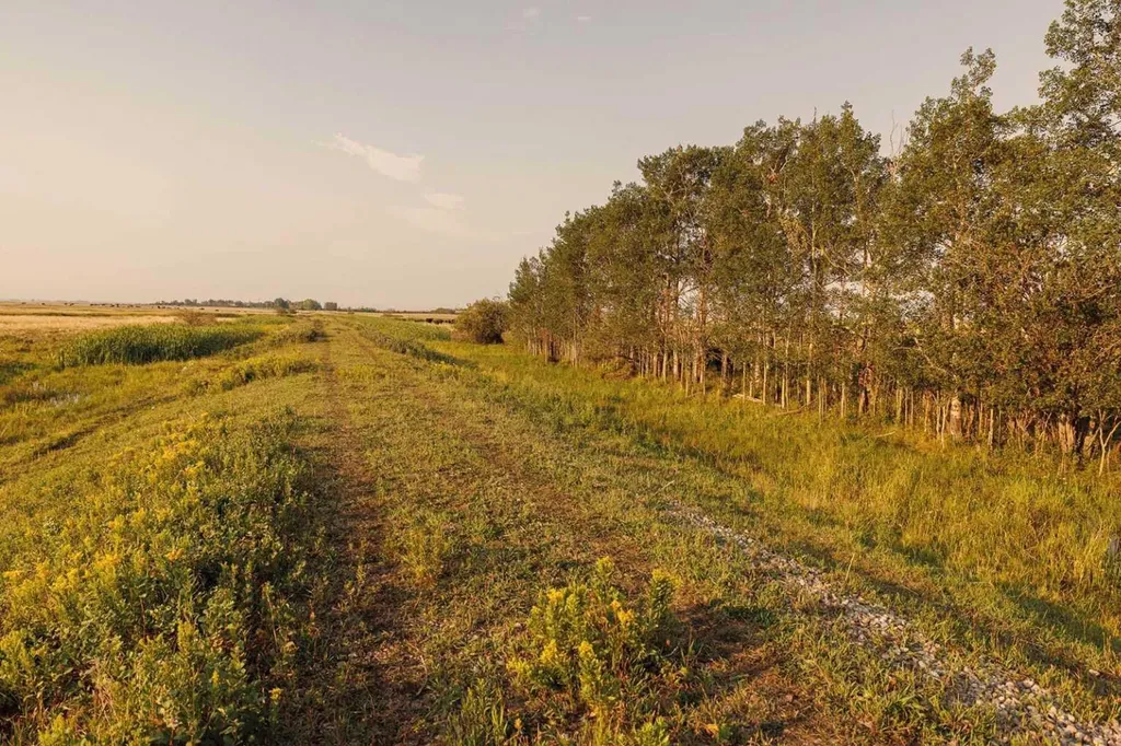 Parcel 7 Range Road 271 Just South Of Highway 9. Rural Rocky View County AB T0M 1G0
