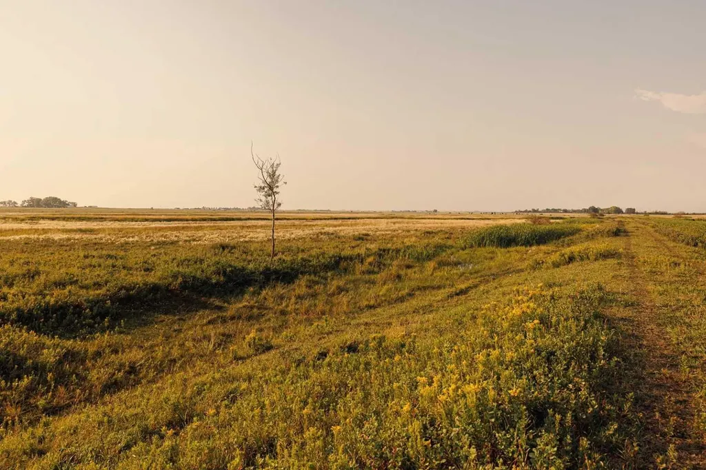 Parcel 7 Range Road 271 Just South Of Highway 9. Rural Rocky View County AB T0M 1G0