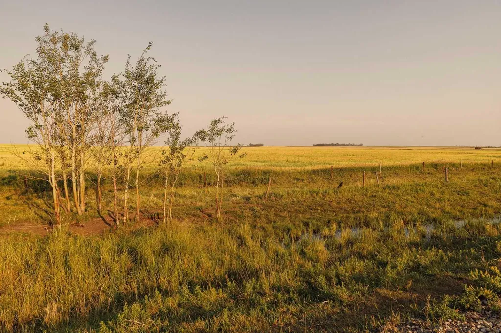 Parcel 7 Range Road 271 Just South Of Highway 9. Rural Rocky View County AB T0M 1G0