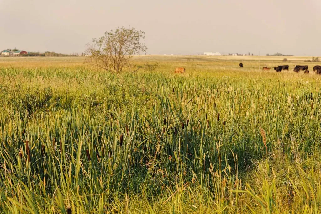 Parcel 9 Range Road 271 Just South Of Highway 9 Rural Rocky View County AB T0M 1G0