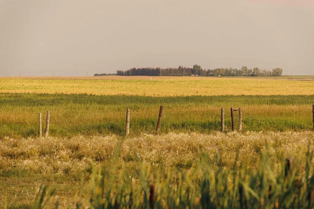 Parcel 9 Range Road 271 Just South Of Highway 9 Rural Rocky View County AB T0M 1G0