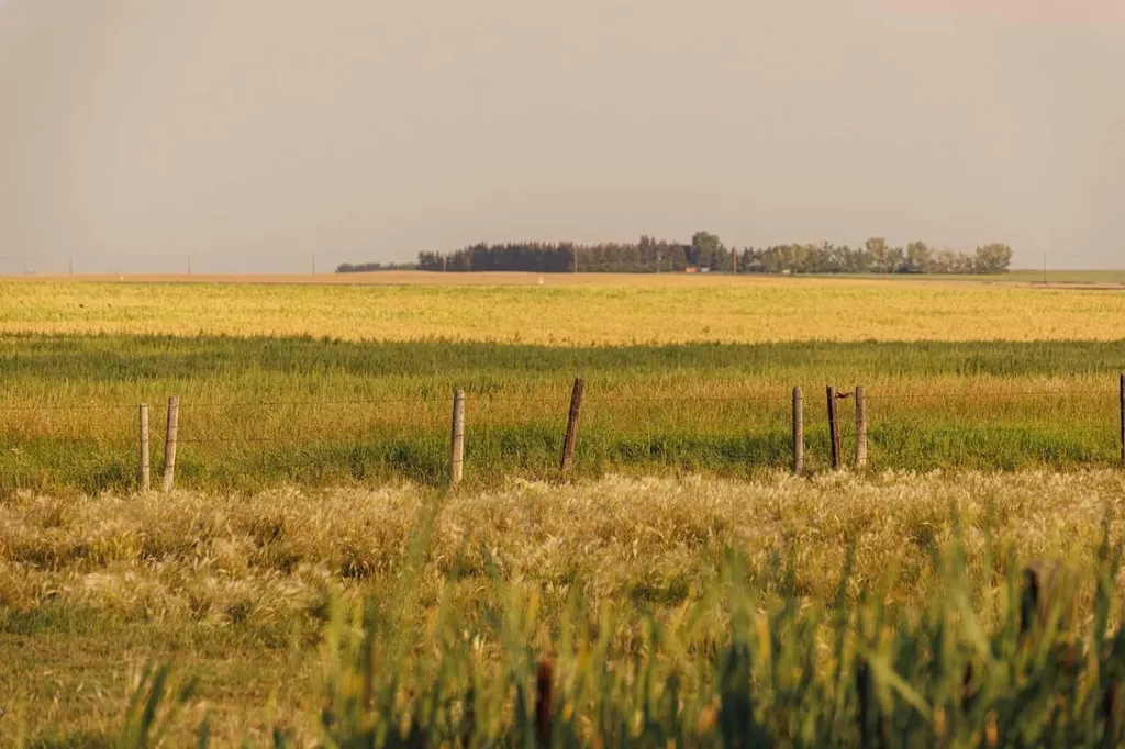 Parcel 9 Range Road 271 Just South Of Highway 9 Rural Rocky View County AB T0M 1G0