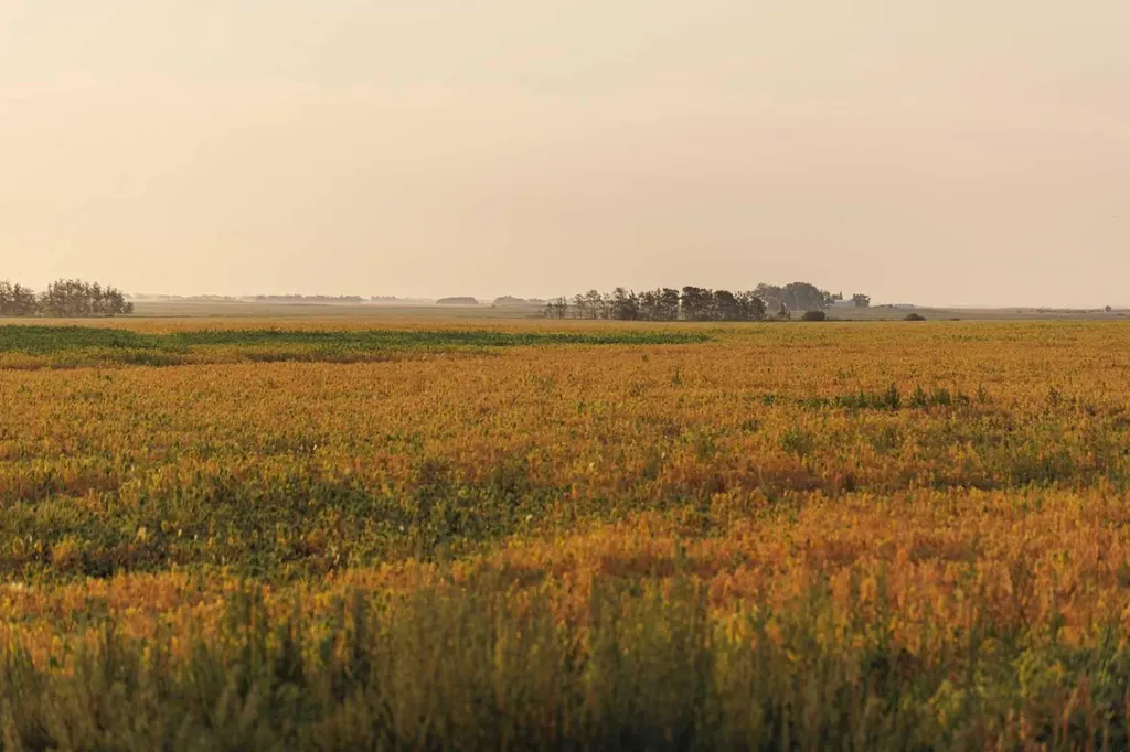 Parcel 9 Range Road 271 Just South Of Highway 9 Rural Rocky View County AB T0M 1G0