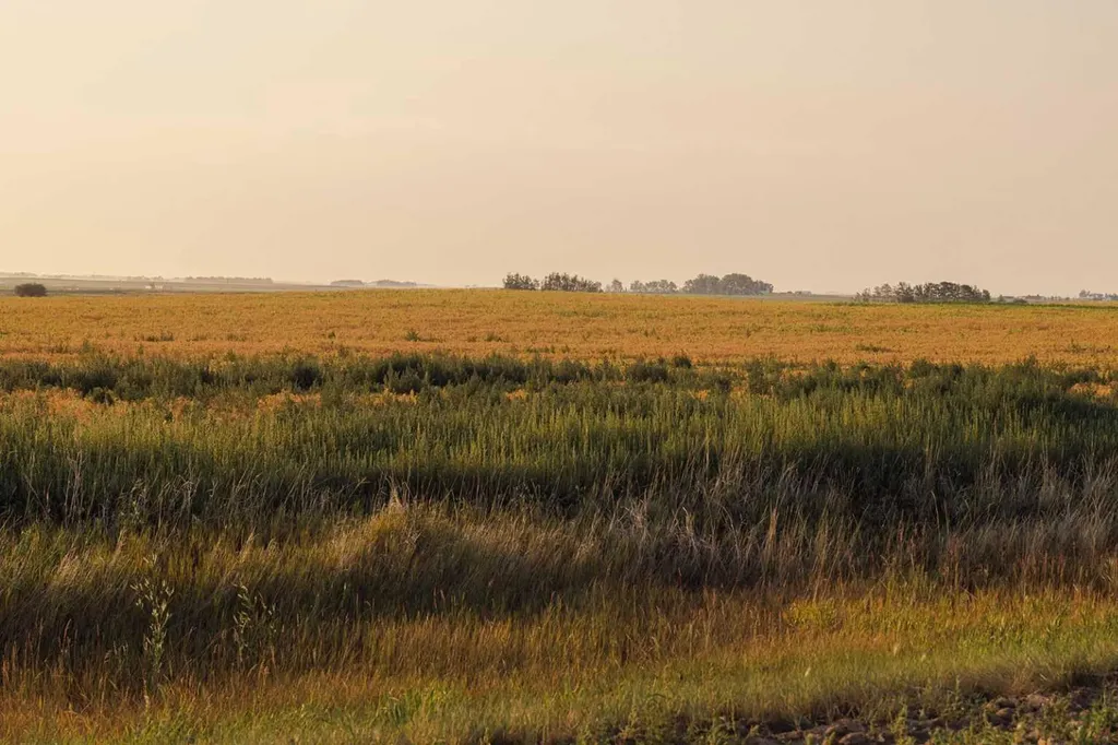Parcel 9 Range Road 271 Just South Of Highway 9 Rural Rocky View County AB T0M 1G0