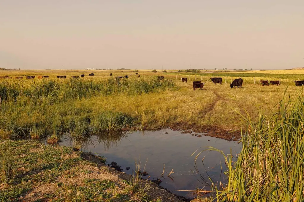 Parcel 9 Range Road 271 Just South Of Highway 9 Rural Rocky View County AB T0M 1G0