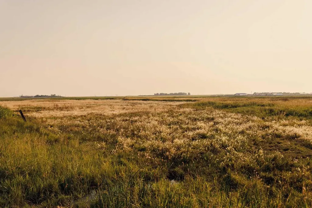 Parcel 9 Range Road 271 Just South Of Highway 9 Rural Rocky View County AB T0M 1G0