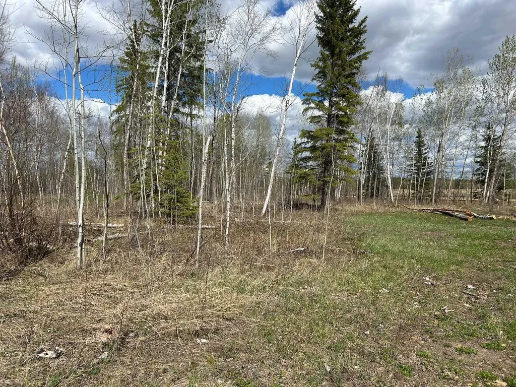 654036 Rge Road 222 Athabasca AB T9S 2A5