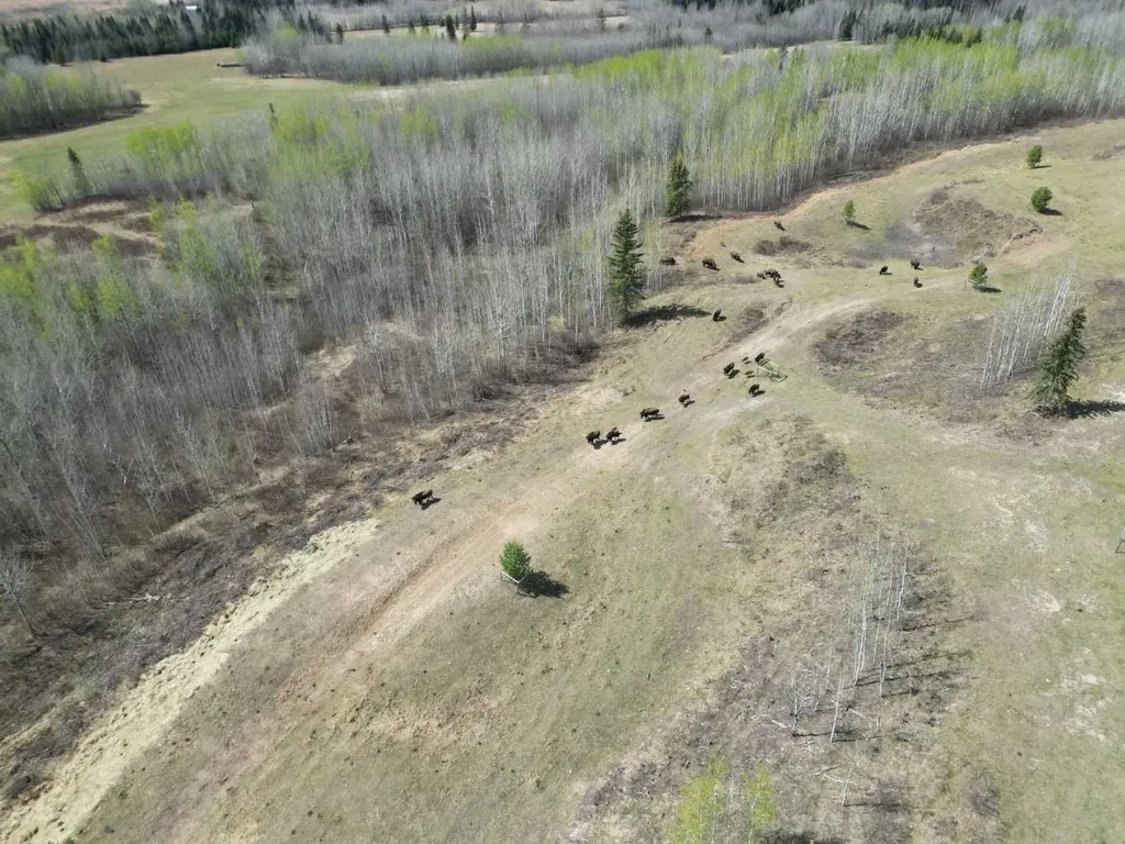654036 Rge Road 222 Athabasca AB T9S 2A5