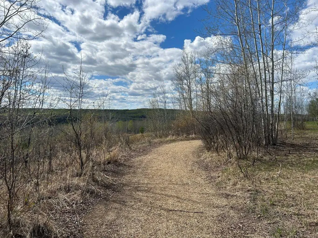 654036 Rge Road 222 Athabasca AB T9S 2A5