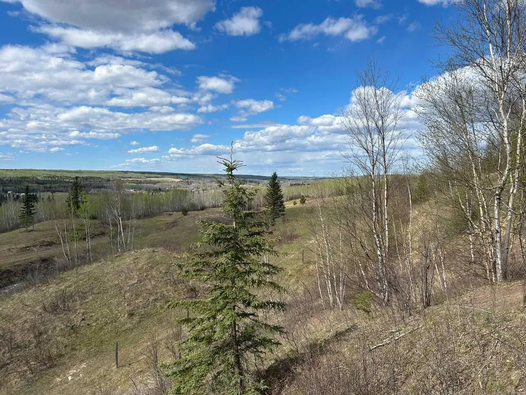 654036 Rge Road 222 Athabasca AB T9S 2A5