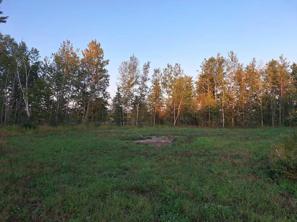 654036 Rge Road 222 Athabasca AB T9S 2A5